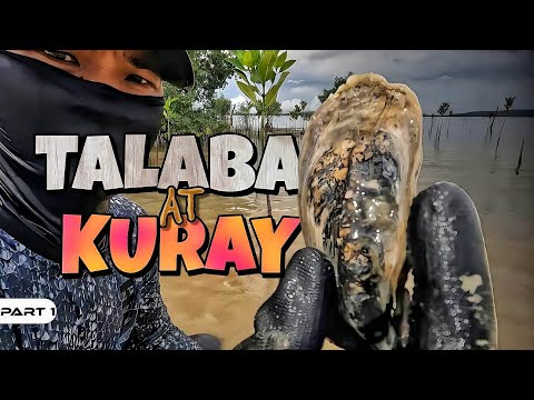 P1-Talaba at Kuray - EP1006