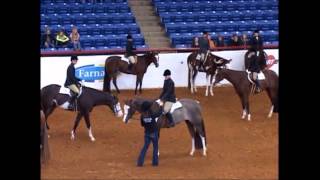 2012 APHA World Show 3 Yr Old Hunter Under Saddle Class, Southern Belle &amp; NSBA SIF