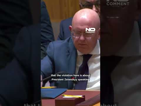 'Stop the war' and Zelenskiy won't speak, UN Security Council chair tells Russia