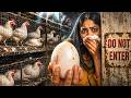 I Went Inside The Egg Industry Of India With Hidden Cameras