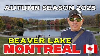 AUTUMN SEASON 2025 BEAVER LAKE! MONTREAL 🇨🇦 🍁🍂🍃