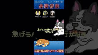 愛犬の食糞を抑えるトレーニング #犬を飼うということ