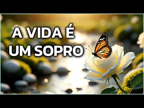 Life is a Breath | Message of Reflection