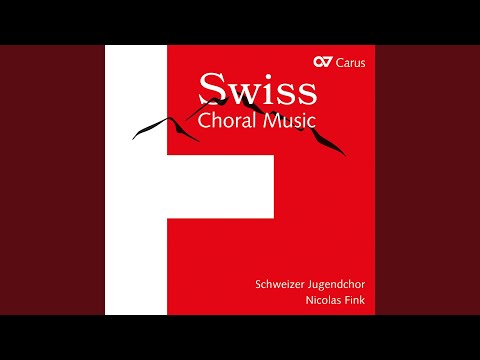 Monney: Viri gallilei