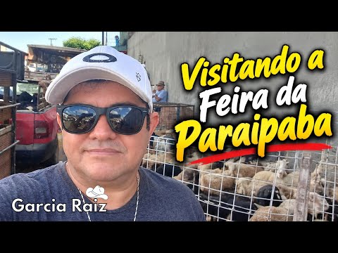 VISITANDO A FEIRA DA PARAIPABA | Conhecendo o Comércio e o Movimento da Feira 🛍️🌵