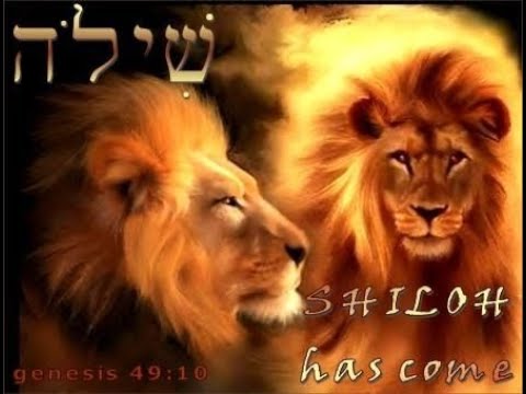 Daniel Brânzei: "Shiloh", the metaphor that saves us