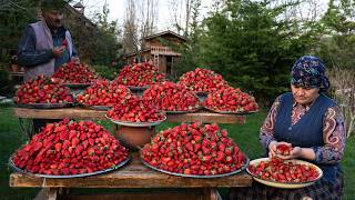 Village Baking Day – Sweet Strawberry Pie & Homemade Jam 🍓🥧