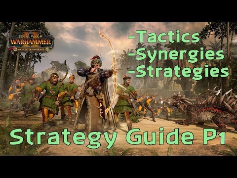 Hunter & The Beast - Strategy Guide Part 1 | New Tactics & Unit Synergies - Total War Warhammer 2