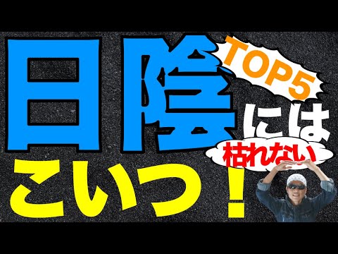 日陰または部分的な日陰に植える低木はどれですか?さらに上位5種！  庭園