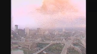 sleepdealer - zzz (sleepyhead)