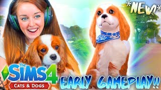 *NEW* 🐱🐶 SIMS 4 CATS & DOGS! MAKING EEVEE! 🐱🐶