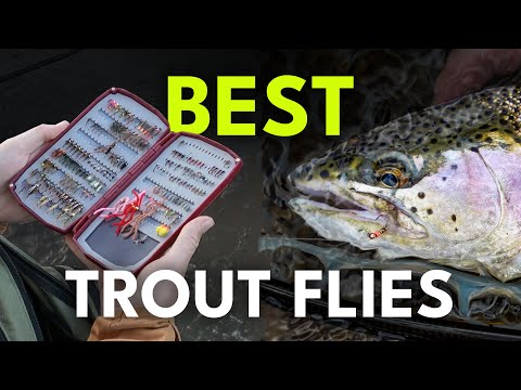 Top Flies for Fly Fishing & the Insects Behind Them | Ep. 102