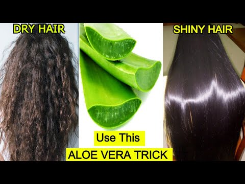 Use Aloe Vera This way To Turn Dry Hair To Shiny Hair...