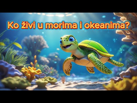 Ko živi u morima i okeanima? 🌊 🐬🐠 🐙 🐢 Edukativni crtani za decu