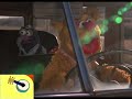 Noggin S Move To The Music America The Beautiful The Muppet Movie