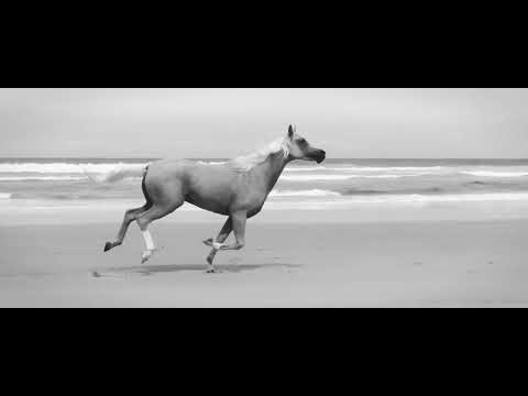 Bryan Adams - Here I Am (live in Melbourne, Australia)