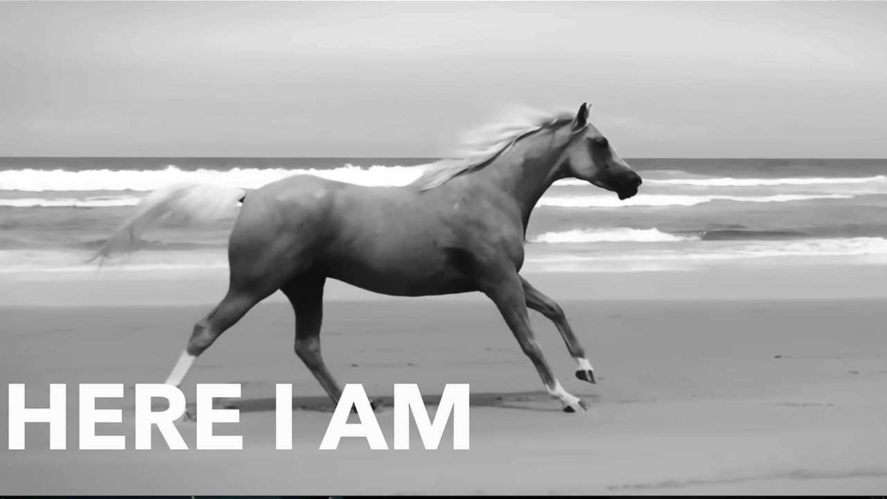 Bryan Adams - Here I Am 