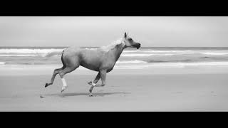 Download lagu Bryan Adams - Here I Am (live in Melbourne, Australia) mp3 Download lagu Bryan Adams - Here I Am (live in Melbourne, Australia) mp3