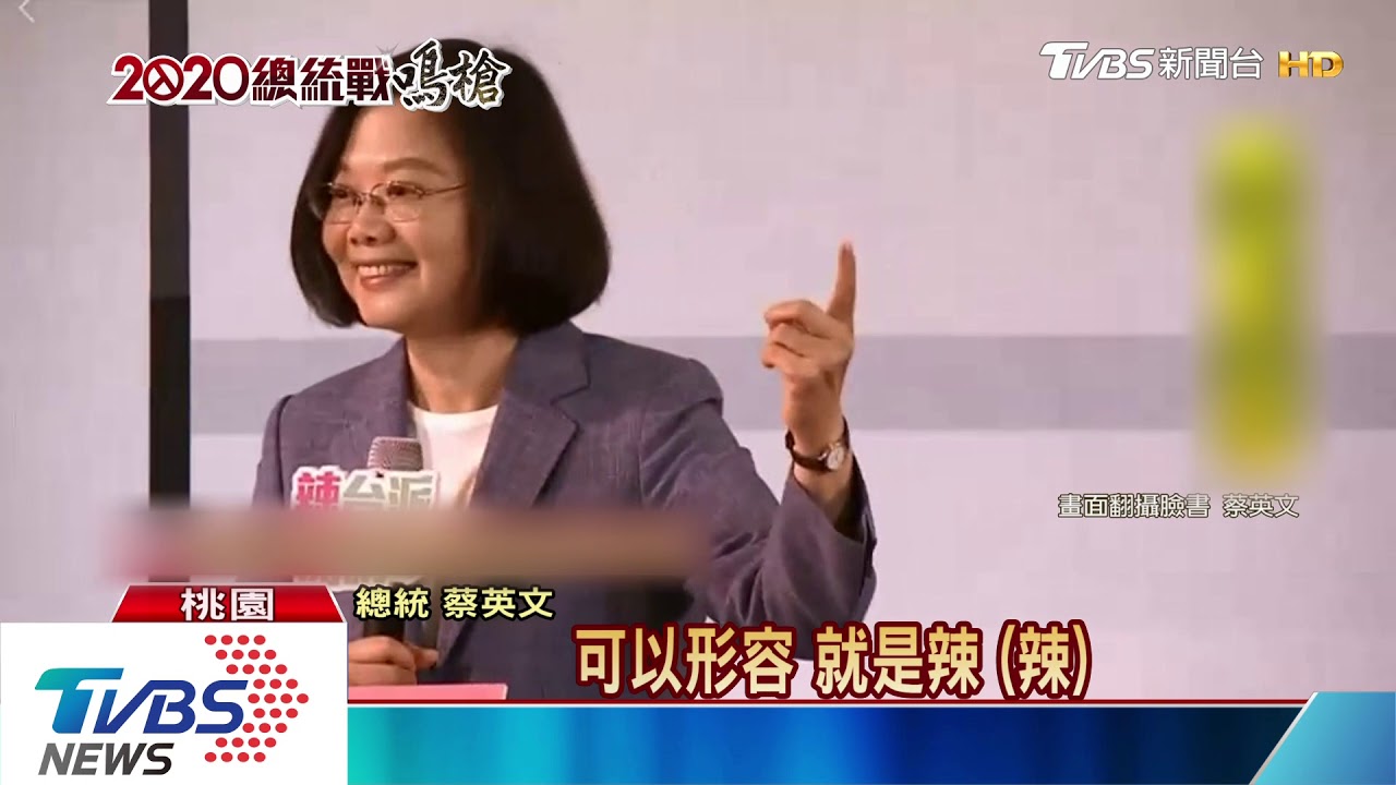 「很多人罵我笨」 蔡談年改:總統必須做
