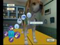 Pet Pals: Animal Doctor Review wii