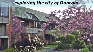 preview picture of video 'Spacious Motel in Dunedin - Woodlands Motels & Apartments Dunedin New Zealand.wmv'