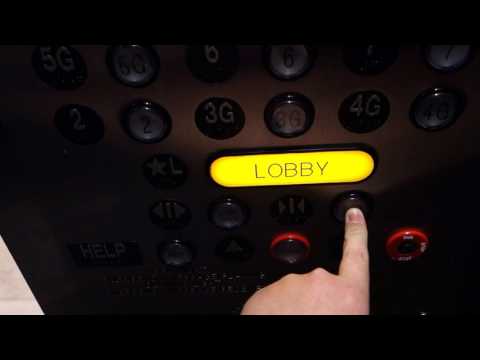 Haughton (Mod by Schindler) Traction Elevators at One Mack Cali Center, Tampa, FL