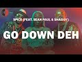 Spice Feat Sean Paul Shaggy Go Down Deh Top Songs Lyrics