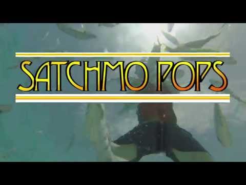 Lost in the Weeds Official Music Video by Satchmo Pops