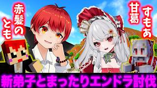 【マイクラ】 #ストリヌ 2次会、ともすもエンドラ討伐【赤髪のとも/甘葛すもあ】