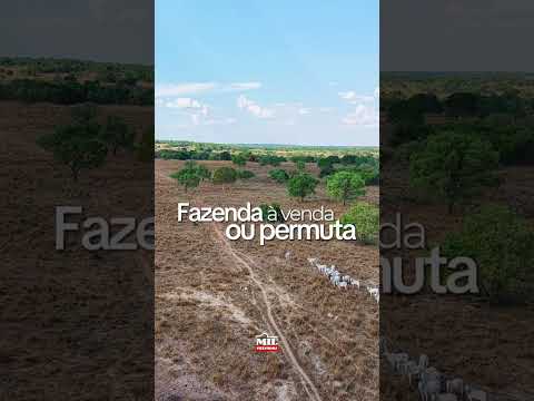 Fazenda à venda ou permuta em 132 alqueires | Amaralina-GO  #fazendaavenda #agro