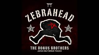 Zebrahead - We&#39;re Not A Cover Band, We&#39;re A Tribute Band (Bonus Brothers Version)