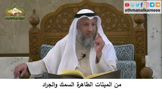 51 - من الميتات الطاهرة السمك والجراد - عثمان الخميس