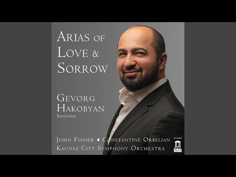 Gevorg Hakobyan sings Un Ballo in Maschera Thumbnail