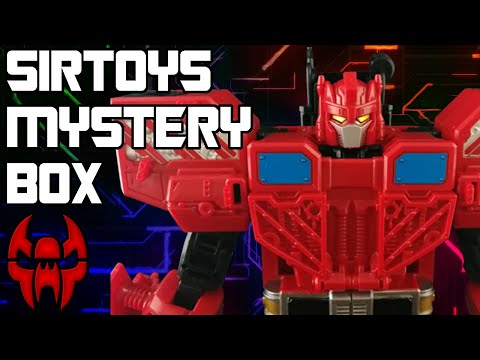 A Mystery Box of SirToys Knockoffs