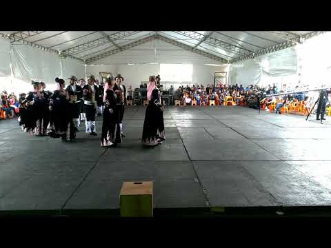 Queromana. Veterana do GAN Ivi Maraé. Rodeio Nacional de Campo Bom 2019.