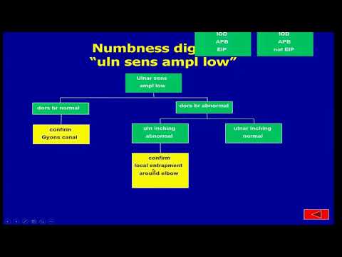 Integration of EMG and NCS, full version