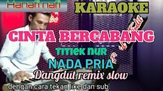 Download lagu Karaoke cinta bercabang Titiek nur nada pria dangdut remix slow mp3