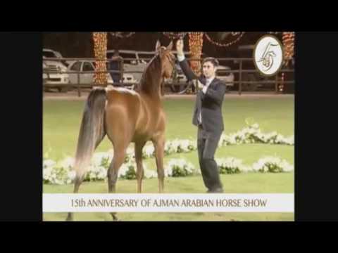 Ajman 2017 - Class 2C