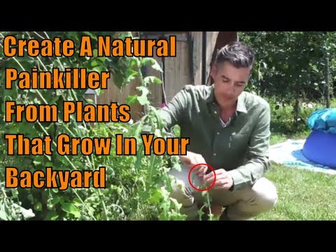 How To Make A Natural Painkiller - The Lost Ways