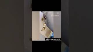 #rakhi #handmade #rakshabandhan #raksha #festival #festive #traditional #brother #brotherhood #love