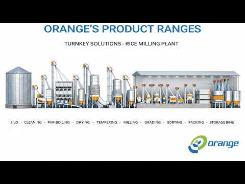 Seeds Sorting Machine