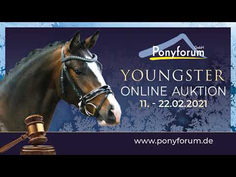 CATCH MY HEART - 3j. Hengst v. HJK Chevalier Rouge - Argentino