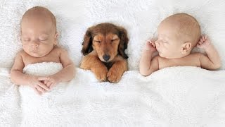 Baby Name Trends, Puppy Love Studies and More | TLCme Now