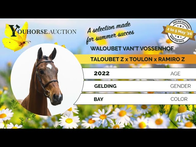 Waloubet van 't Vossenhof homevideo