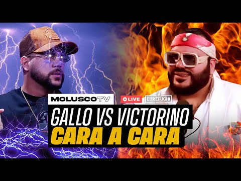Gallo vs Victorino FRENTE A FRENTE por 1ra vez / Todos contra PINA / ¿Molusco Cmnista?