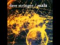 dave stringer - govinda jaya jaya 