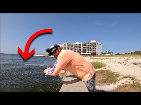 Fishing The ORANGE BEACH Seawall