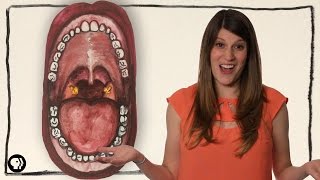 What Are Tonsil Stones? | Gross Science