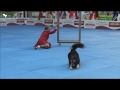Jessy Elke Boxoen 2019 FCI DogDancing World Championship FS Final