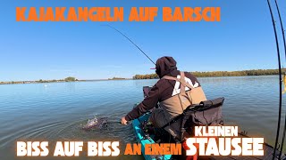 Biss auf Biss! Nonstop-Action beim Kajakangeln auf Barsche! 🔥